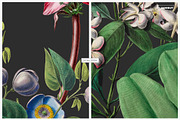 Exquisite Botanical Floral Pattern, a Pattern Graphic by likorbut (Thumbnail 8 of 14)
