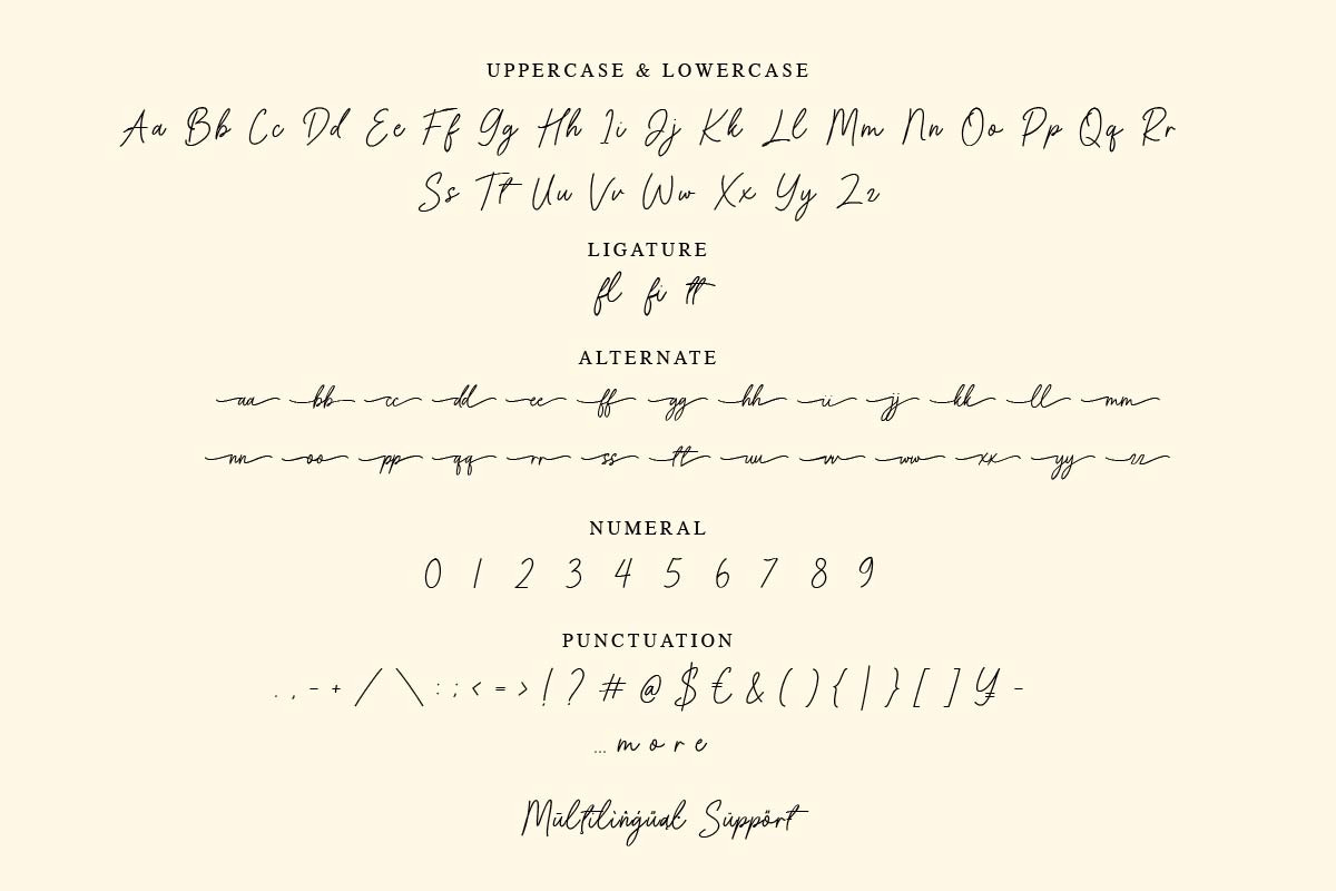 Beyhati - Monoline Script Font, a Script Font by twinstd (Photo 7 of 7)