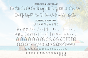 Beach Script Font