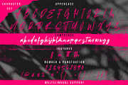 Santy Ehisa - Stylish Script Font, a Script Font by StringLabs (Thumbnail 10 of 11)