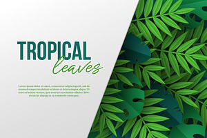 Set Of Designs With Tropical Leaves.