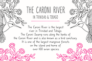 Caroni - A Handmade Typeface, a Sans Serif Font by Franzi draws (Thumbnail 2 of 3)