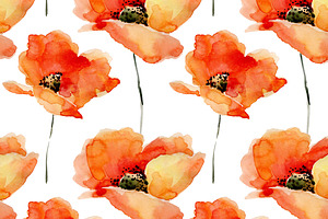 Watercolor Poppies.Flowers Set Bonus