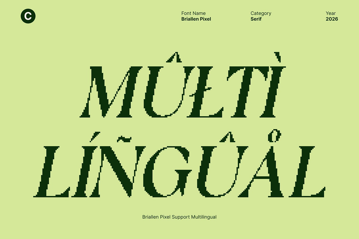 Briallen Pixel, a Serif Font by Craft Supply Co. (Photo 7 of 8)