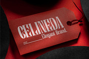 Ameklon || Clasic Serif Font, a Serif Font by Idea Studio (Thumbnail 7 of 10)