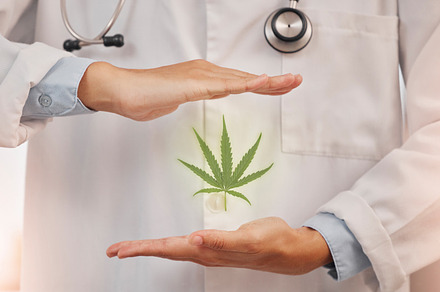 Health, doctor and hands frame cannabis, marijuana leaf and treatment of pain and wellness, healing and organic healthcare. Hemp, cbd and herbal therapy, thc and herbs, 420 and alternative medicine., a Photo by Peopleimages.com