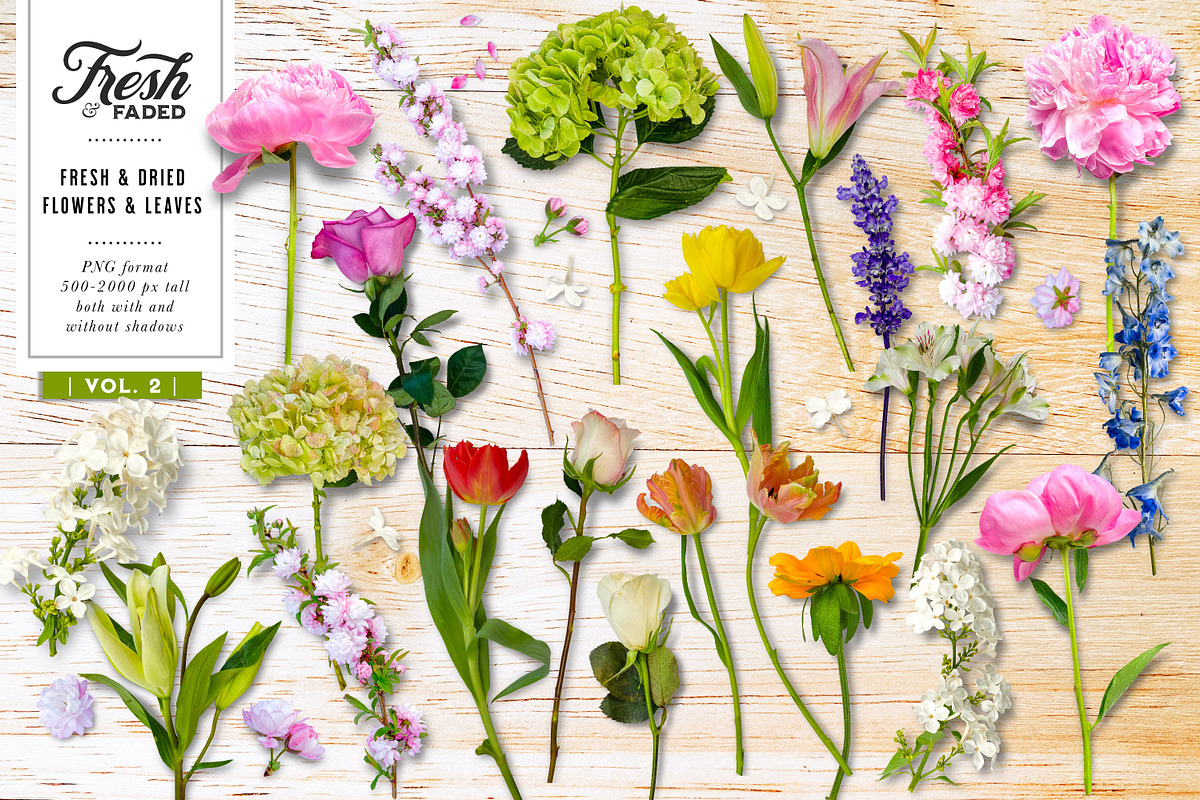 Fresh & Dried Floral Flay Lay Vol 2, a Product Mockup by Eclectic Anthology (Photo 2 of 7)