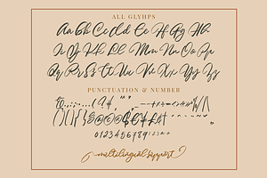 Mindplots A Calligraphy Font