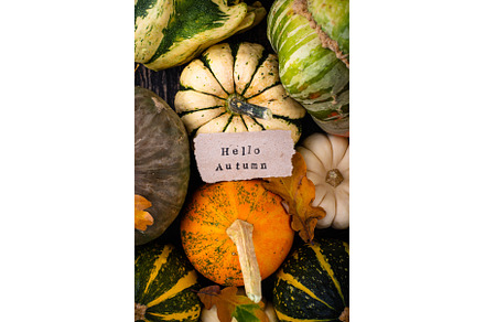 Autumn fall background with pumpkins, a Food & Drink Photo by Yulia Furman