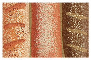MultiGRAIN Brushes for Illustrator, a Brush Add-On by StudioWorks (Thumbnail 10 of 15)
