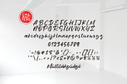 Bylast Script, a Script Font by khurasan (Thumbnail 7 of 7)