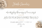 Stadella Signature Script Business, a Serif Font by Creatype Studio (Thumbnail 7 of 8)