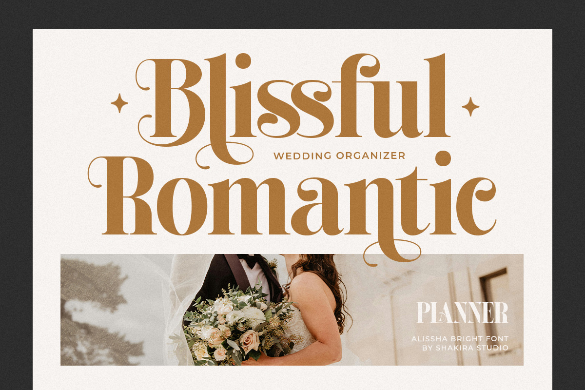 Alissha Bright - Modern Serif, a Serif Font by Shakira Studio (Photo 3 of 10)