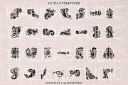 Filigree SVG Illustrations, a Decorative Illustration by HalieKStudio (Thumbnail 2 of 8)