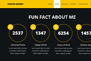 Photo Expert - Adobe Muse Template, a Landing Page Template by Vladimir Chernyshov (Thumbnail 2 of 5)