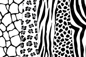 Black And White Animal Prints