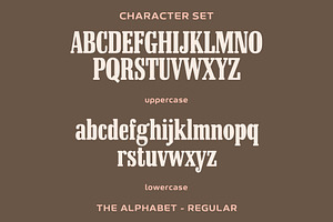 Malboro Font - Serif Font