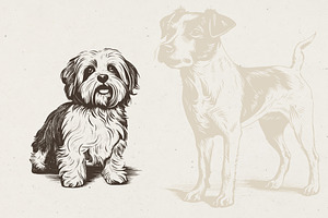 215 Dog Illustrations