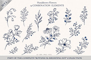 Handdrawn Flowers - Botanical Design, an Object Graphic by Christine Krahl (Thumbnail 1 of 5)