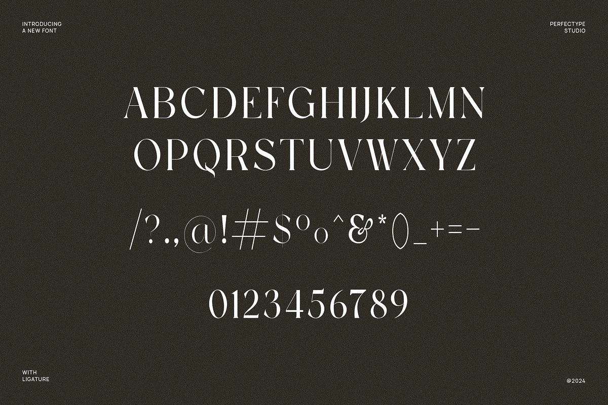 Vogue Elegant Serif Font, a Serif Font by Perfectype (Photo 6 of 6)