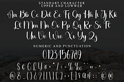 Rustic Valentine, a Handwritten Font by FreshTypeINK (Thumbnail 7 of 8)