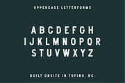 North Chestermans Font, a Font by Studio Alexander (Thumbnail 2 of 9)
