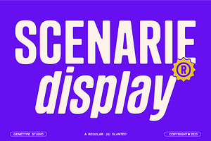Scenarie Display, a Sans Serif Font by Genetype