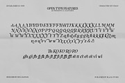 The Serifon Editorial, a Serif Font by Black Studio (Thumbnail 17 of 17)