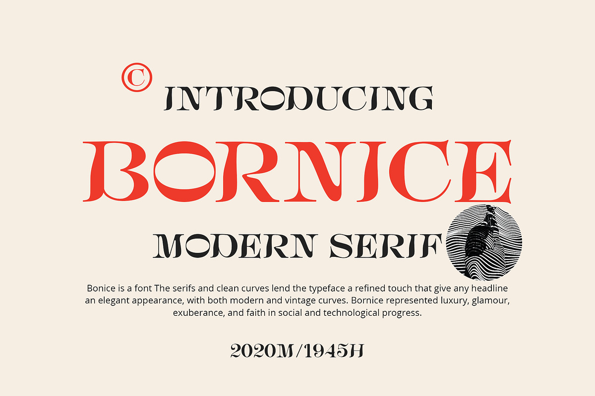 Bornice Modern Serif, a Serif Font by Damelev (Photo 1 of 13)
