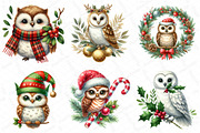 Watercolor Christmas Owl Clipart, an Illustration by DreamPrint404 (Thumbnail 6 of 6)