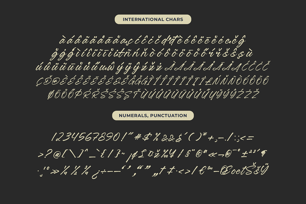 Jonthay Stattera Modern Script Font, a Script Font by Letterena Studios Script (Photo 18 of 20)
