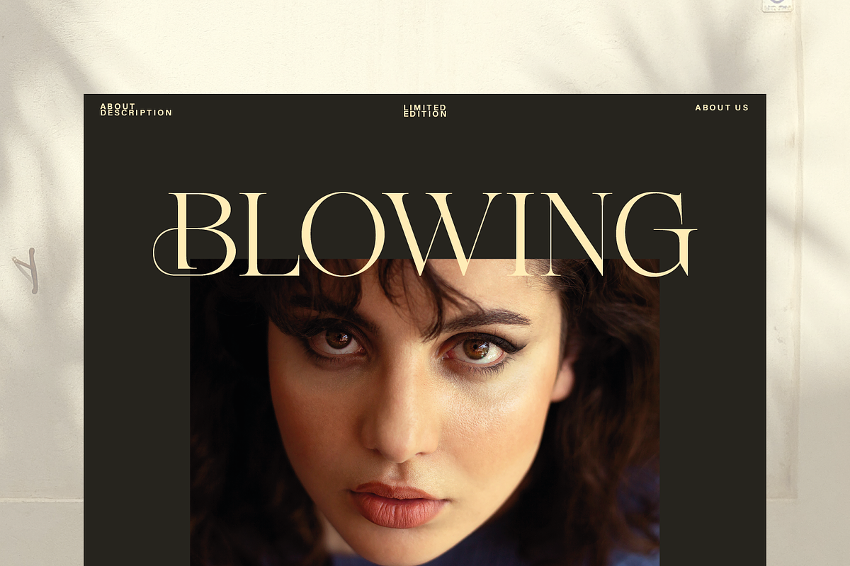Gladier - A Modern Serif Font, a Serif Font by Comactype Foundry (Photo 6 of 22)