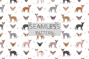 Peterbald cat, an Animal Illustration by pet design shop (Thumbnail 6 of 6)