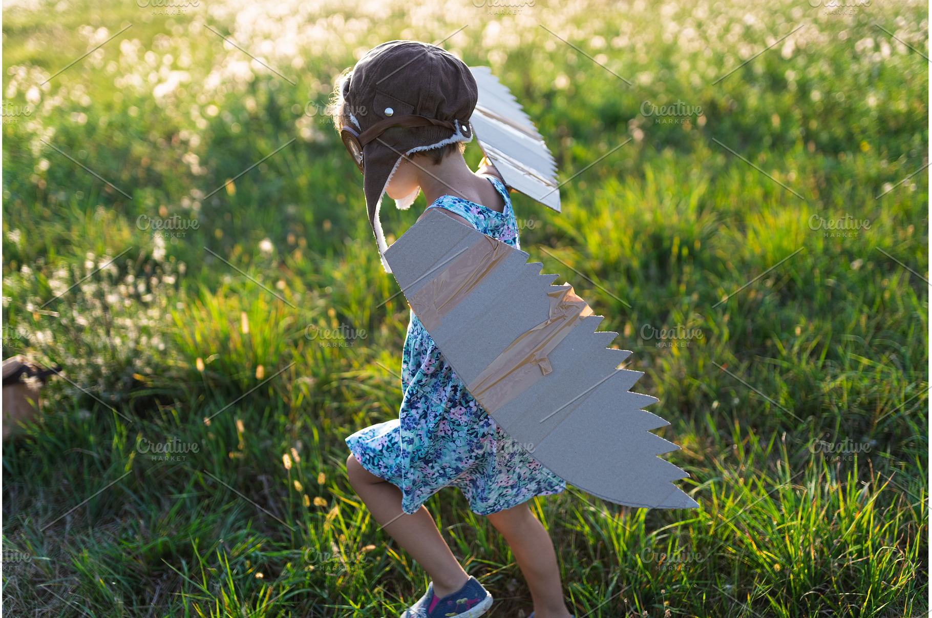 Little girl playing on a meadow in, a Person Photo by HalfPoint