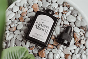 Alfines || Modern Classy Serif Font, a Serif Font by Ermedia Studio (Thumbnail 8 of 10)