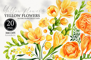 Watercolor Yellow flowers wildflower