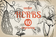 Set 40 hand drawn plants., an Object Graphic by MarinaVorontsova (Thumbnail 1 of 8)