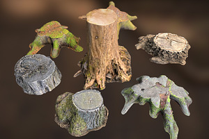 7 TREE STUMPS