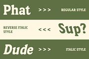 CS Limau – Bold Font, a Serif Font by Craft Supply Co. (Thumbnail 3 of 8)