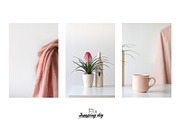 Pale Pink & Soft Beige Photo Pack, a Social Media Template by Jumping Dog (Thumbnail 4 of 6)