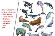 Sea Animals Clipart & Patterns, a Pattern Graphic by Lagmar Design (Thumbnail 8 of 12)