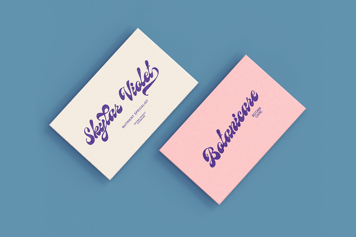 Birchside Script, a Script Font by Get Studio (Photo 8 of 28)