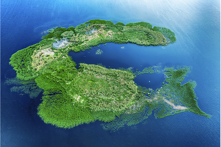 Island on the river, a Nature Photo by Nature and travel