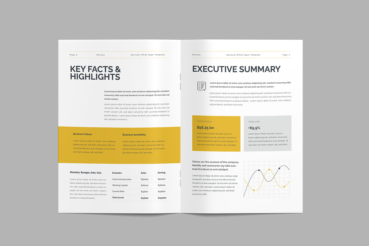 Whitepaper Template, a Brochure Template by afsar.hossain (Photo 9 of 9)