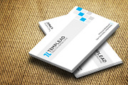 Corporate Business Card CM139, a Business Card Template by annozio (Thumbnail 3 of 4)