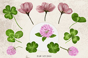 St Patrick's Day Clipart Leprechaun, an Illustration by PawGraphic (Thumbnail 4 of 10)