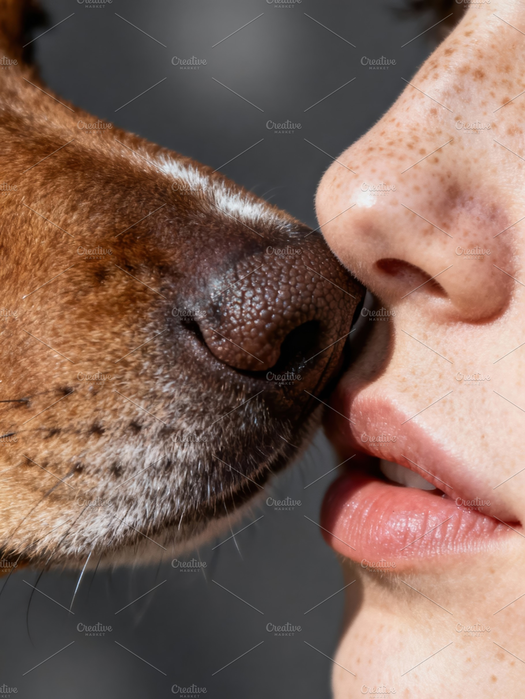 Love Between Human and Dog, an Animal Photo by Virgo Studio