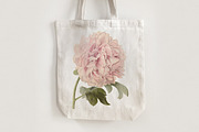 Vintage Illustrations of Flowers, an Illustration by Graphic Goods (Thumbnail 8 of 9)