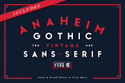 Vintage Logo Kit PRO, a Branding & Logo Template by Vintage Type Company (Thumbnail 2 of 9)