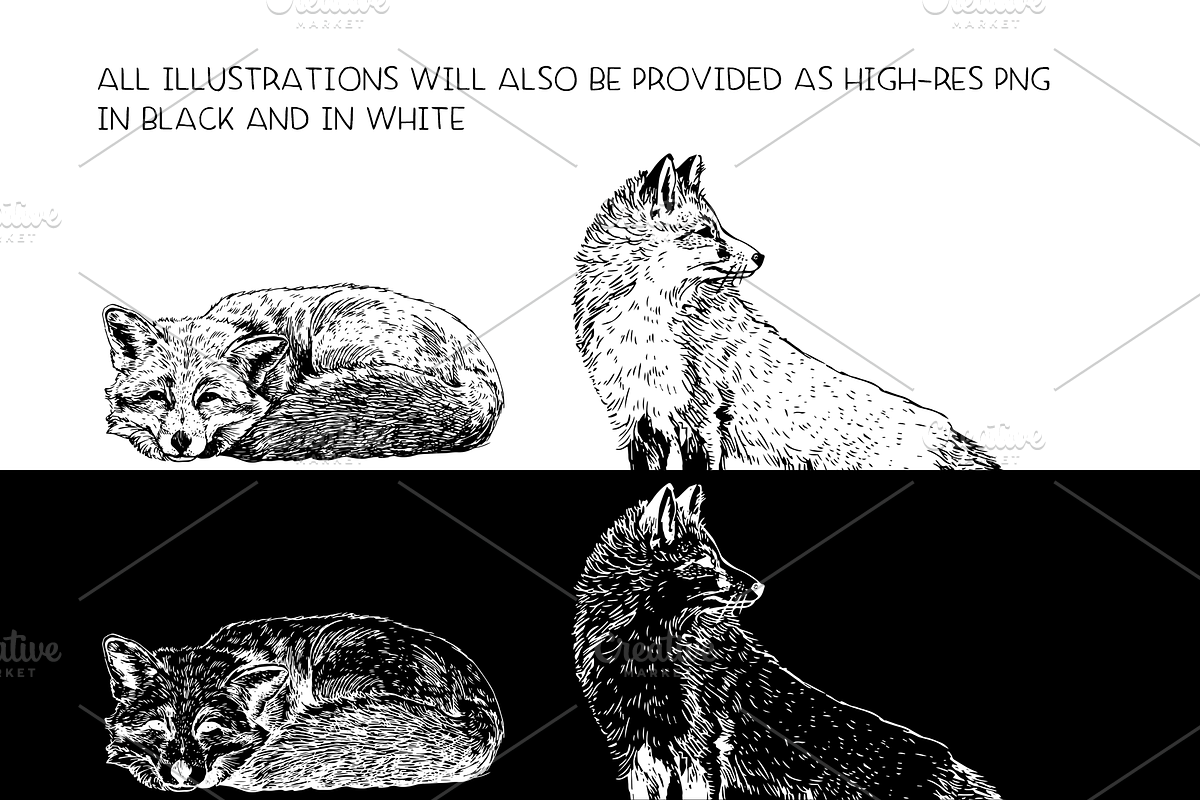Foxes - vector illustration set, an Animal Illustration by Renée from Studio neetje (Photo 3 of 4)